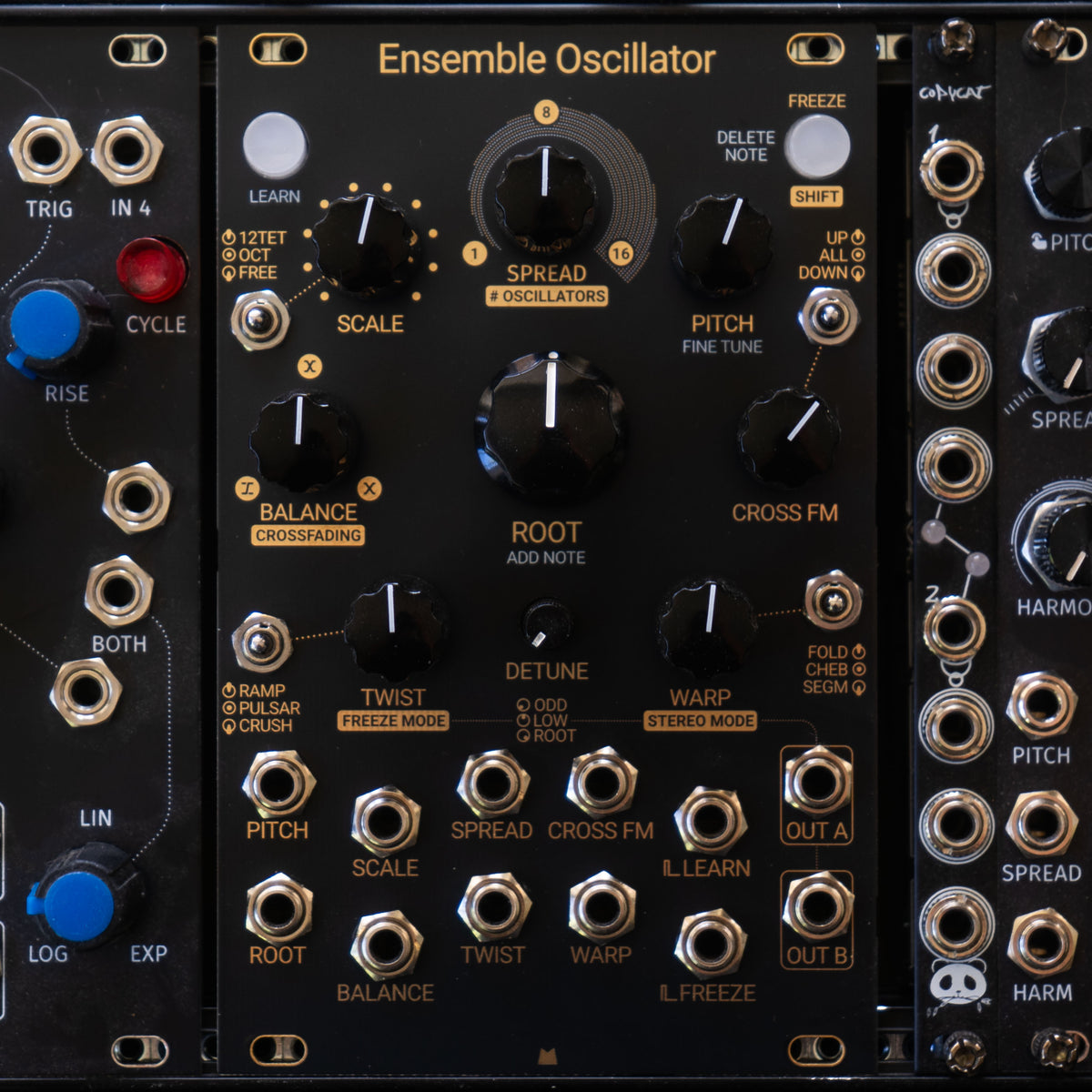 Ensemble Oscillator black & gold panel