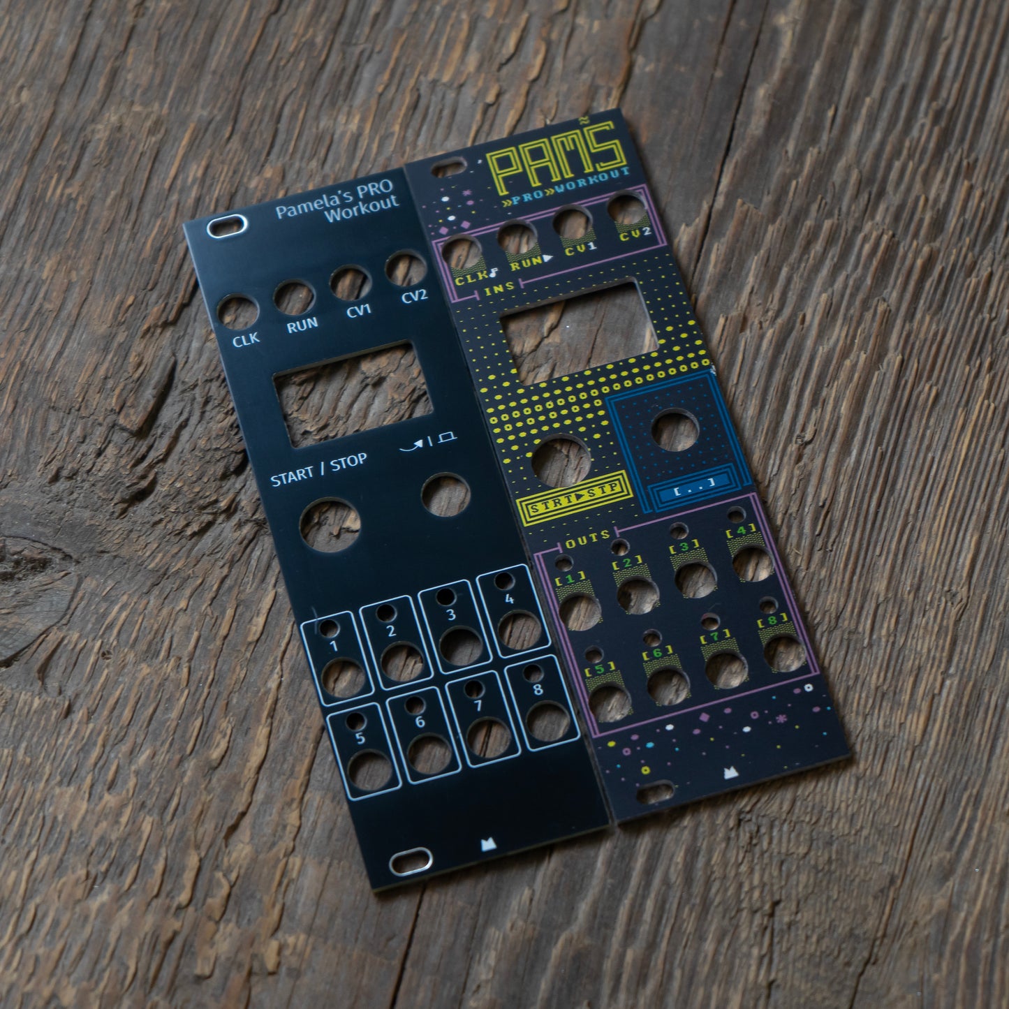 Pamela's PRO Workout - DOS - premium panel