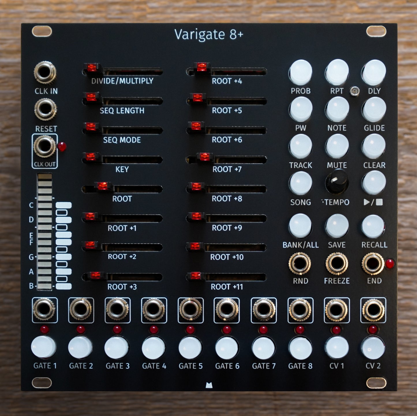 Varigate 8+ black panel