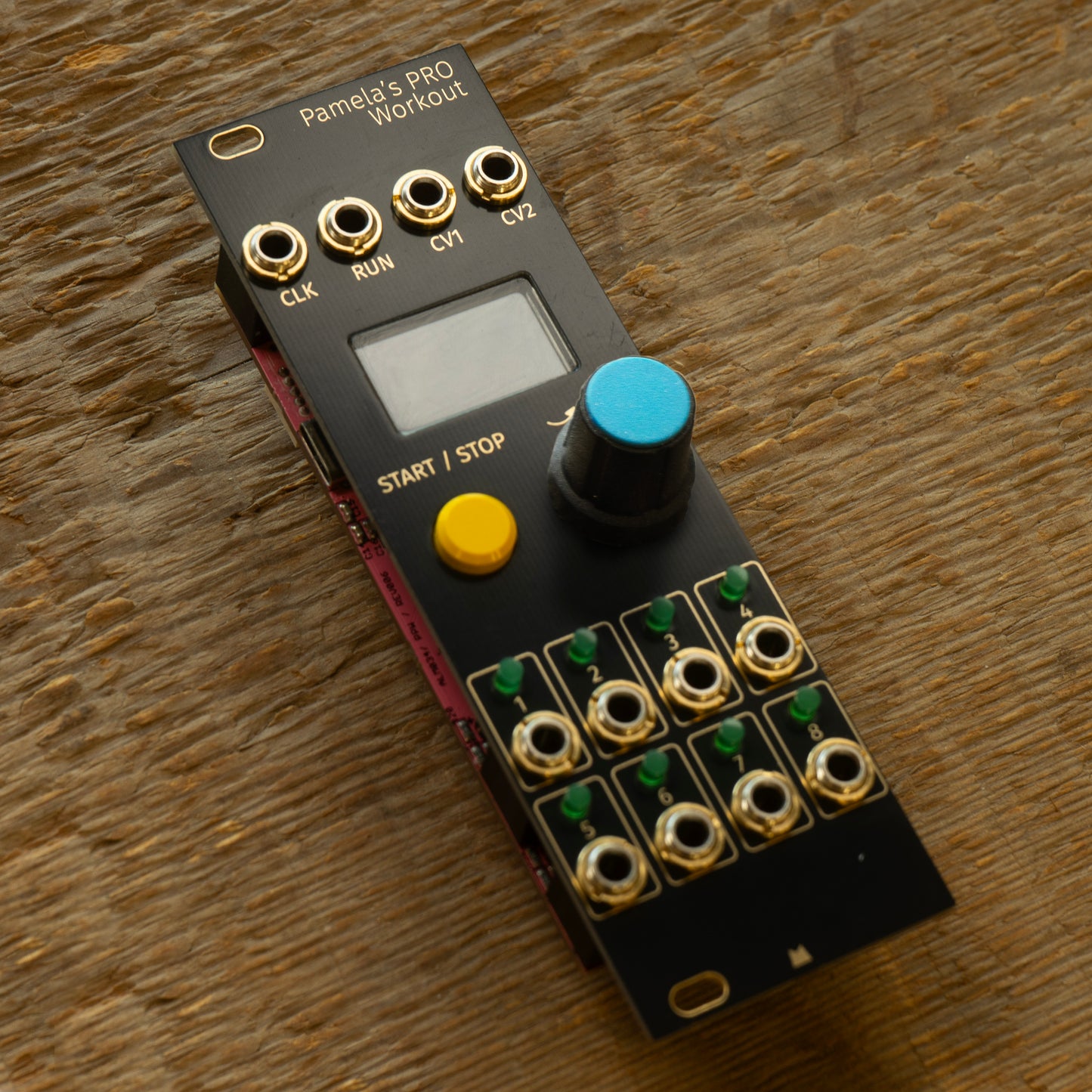 Pamela's PRO Workout black & gold panel