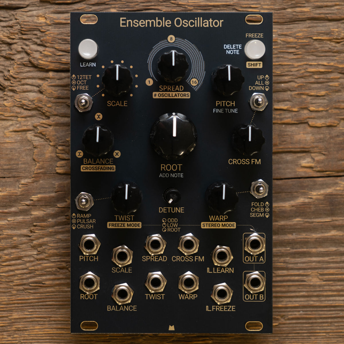 Ensemble Oscillator black & gold panel