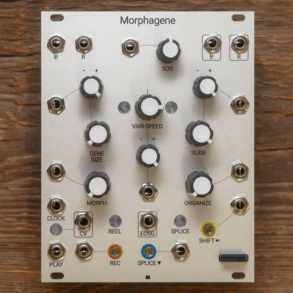Morphagene silver panel