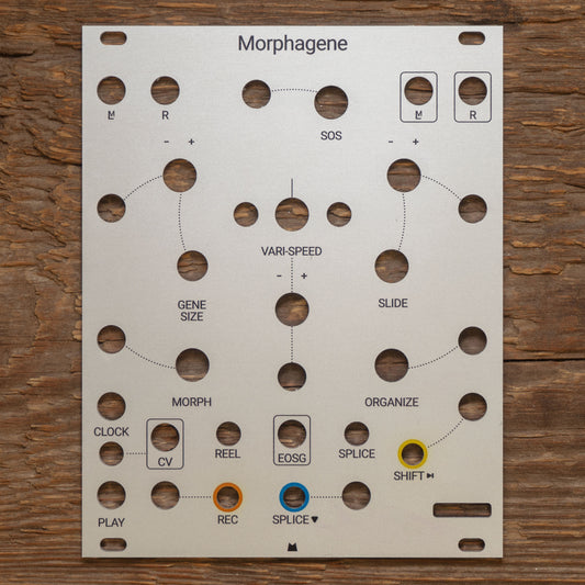 Morphagene silver panel