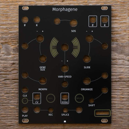 Morphagene black panel