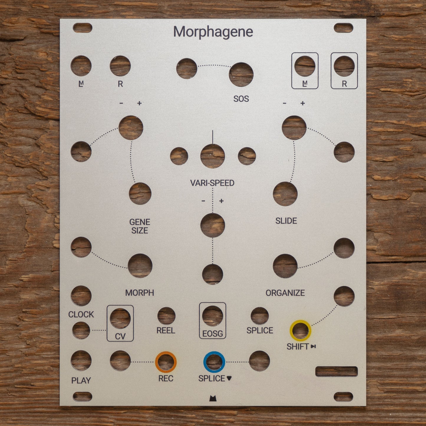 Morphagene silver panel
