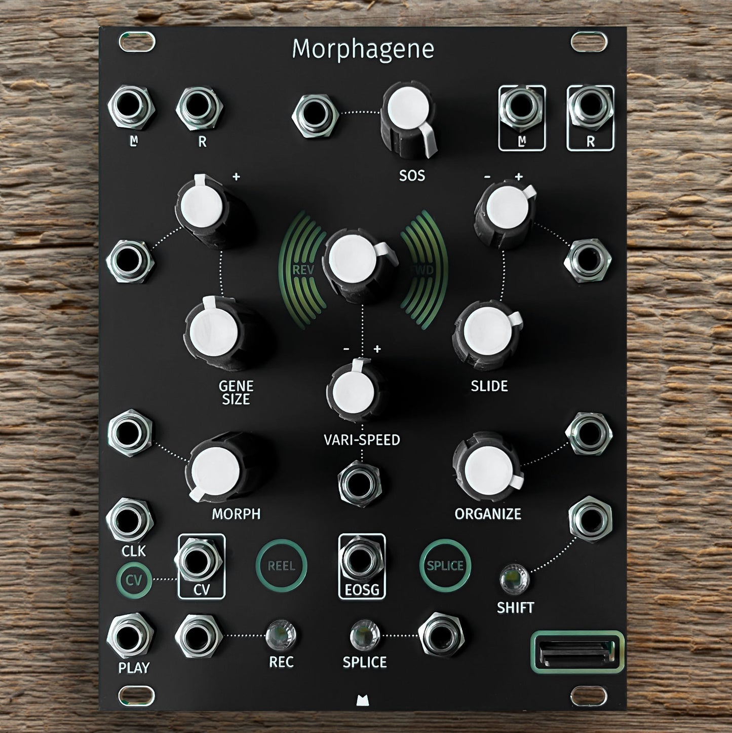 Morphagene black panel