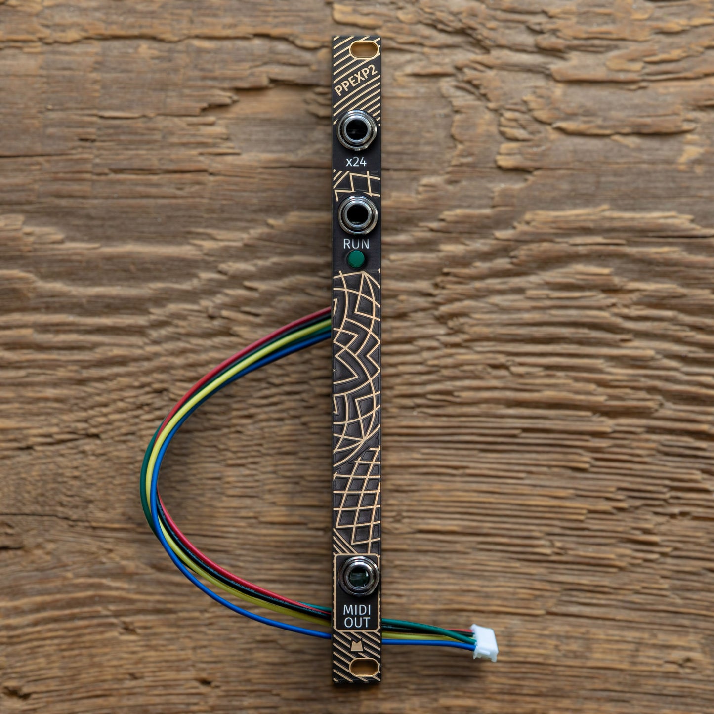 PPEXP2 (PPX2) - Golden Lotus - black & gold panel