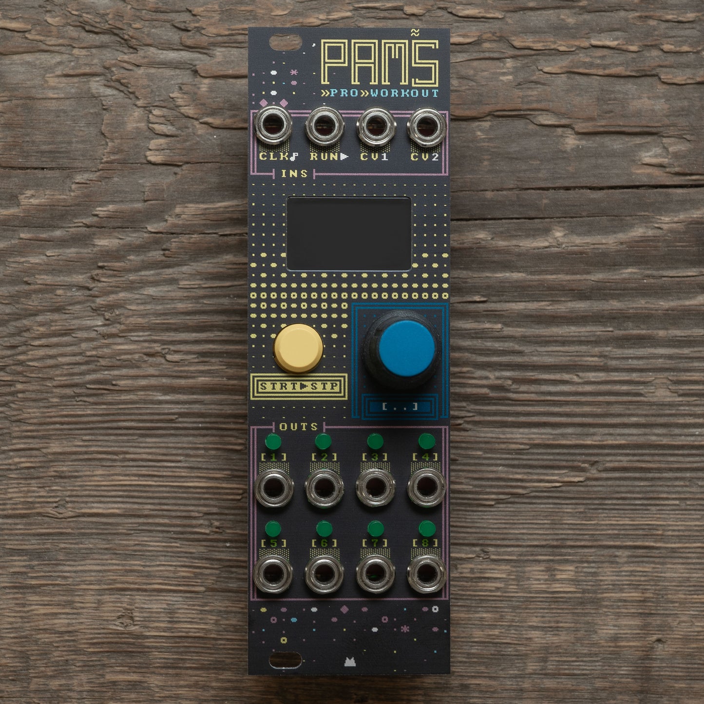 Pamela's PRO Workout - DOS - premium panel