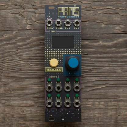 Pamela's PRO Workout - DOS - premium panel