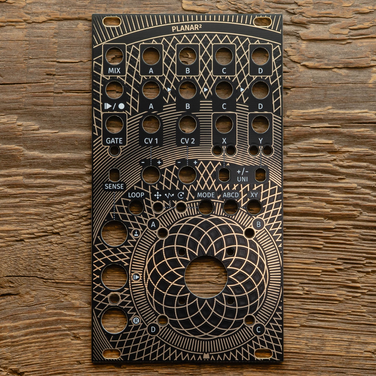 Planar 2 - Golden Lotus - black & gold panel