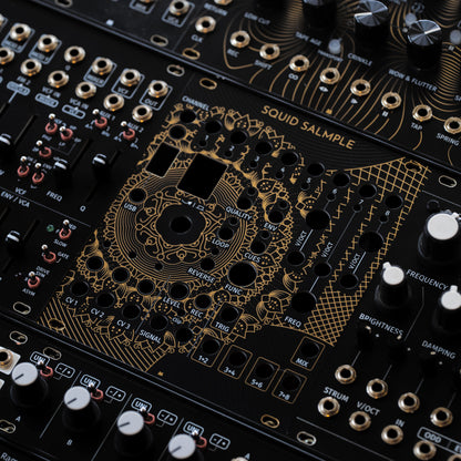 Squid Salmple - Golden Lotus - black & gold panel