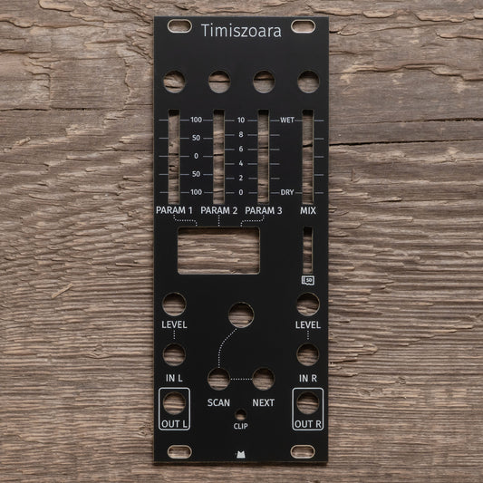 Timiszoara black panel