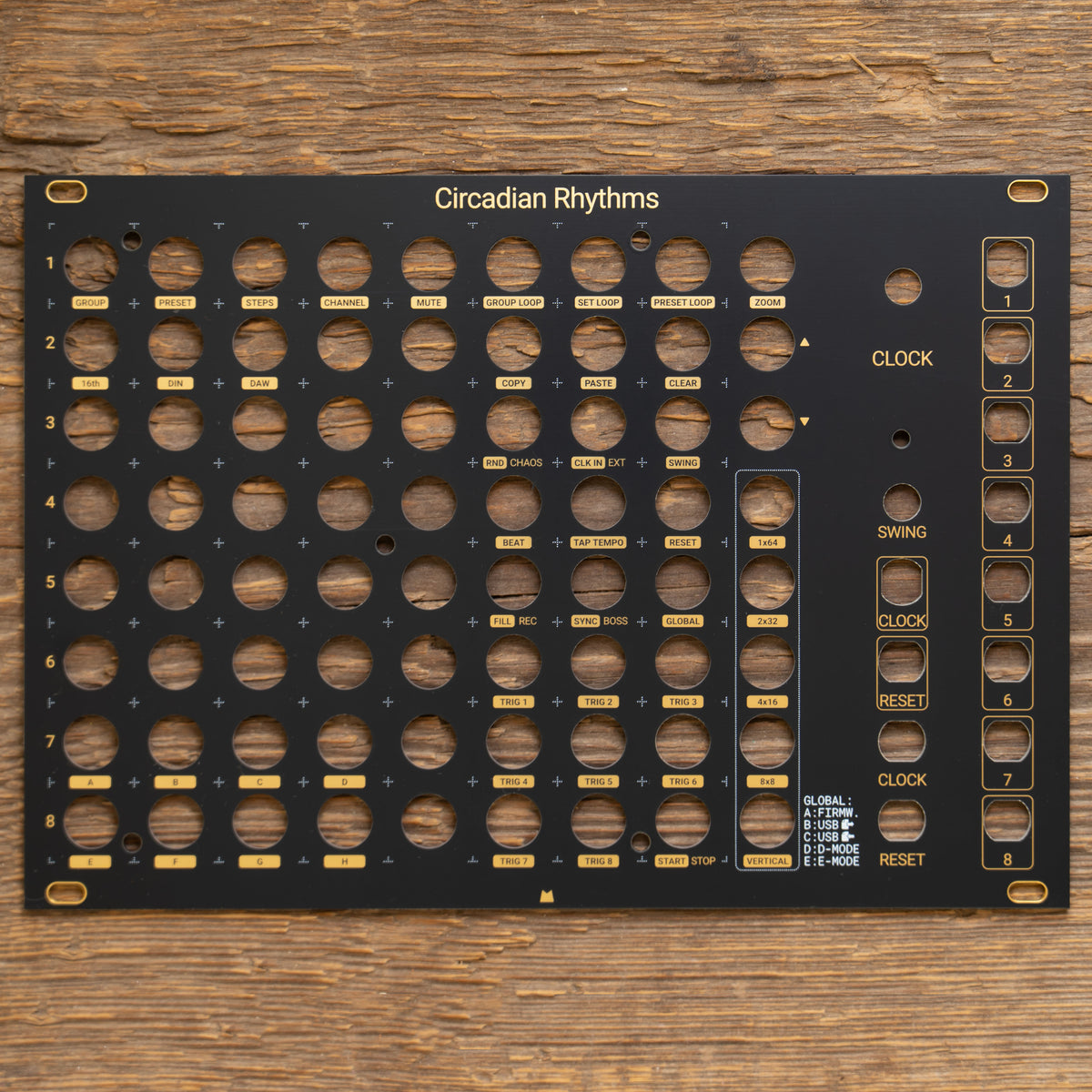 Circadian Rhythms black & gold panel