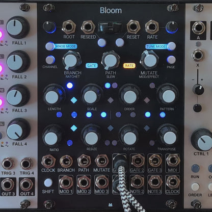 Bloom (v2) black panel