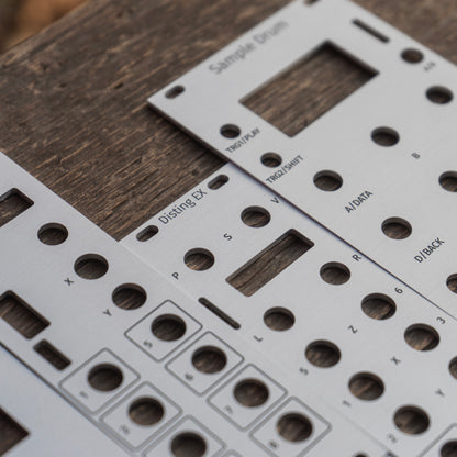 Disting EX silver panel