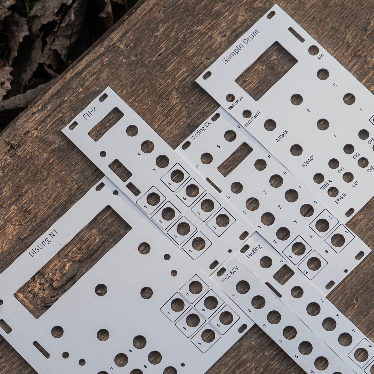 Disting EX silver panel