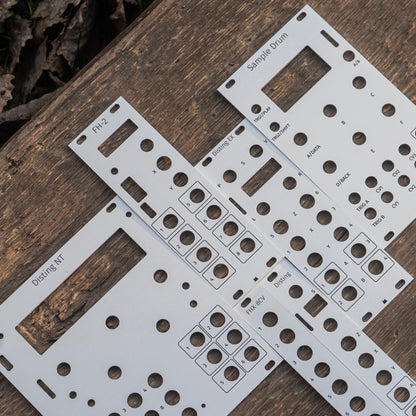 Disting EX silver panel